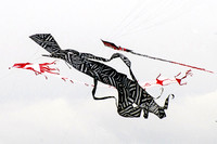 Kites