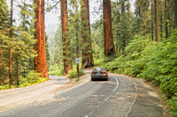 Aug 2015 Trip in Sequoia, Kings Canyon, Yosemite , etc.