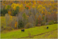 New Hampshire